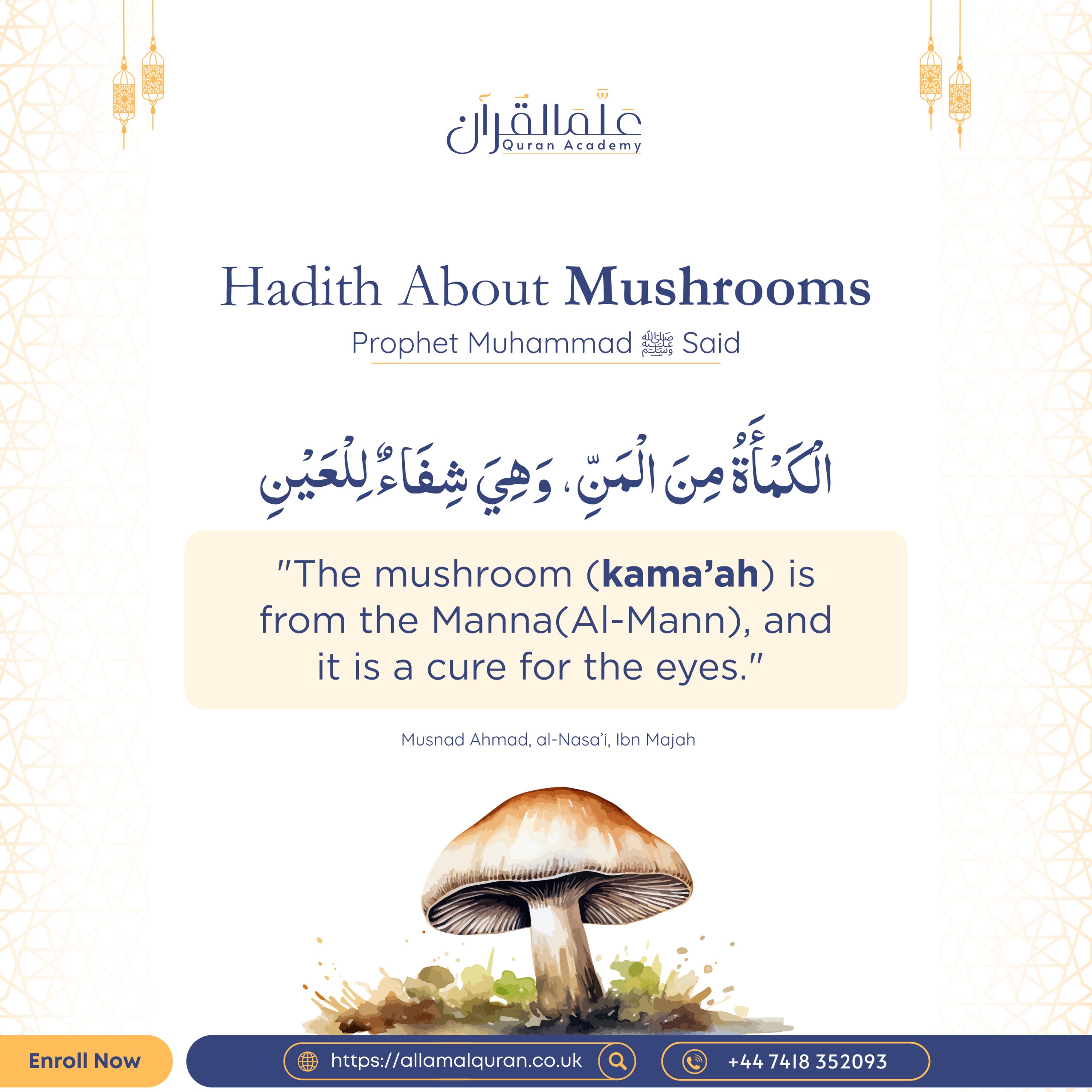 Hadith About Mushrooms
