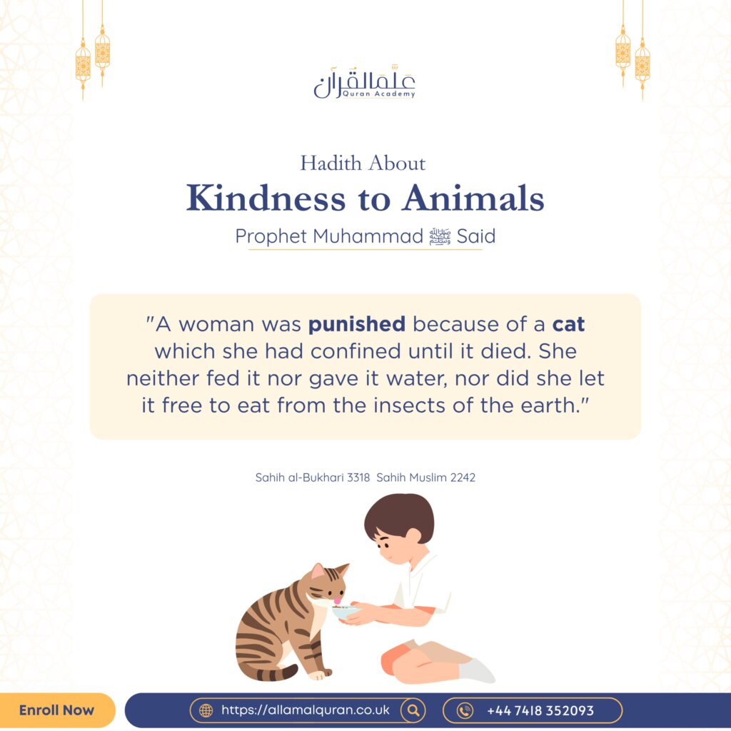 Kindness to Animals