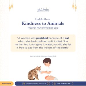 Kindness to Animals